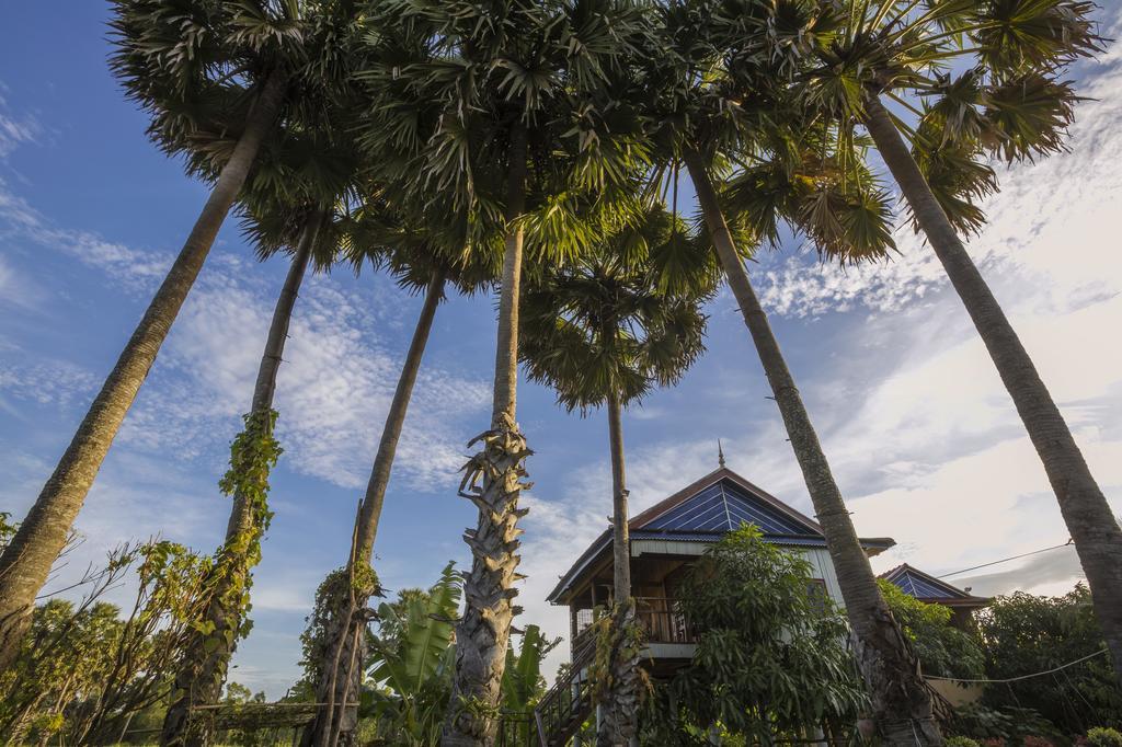 Champa Lodge Kampot Eksteriør billede