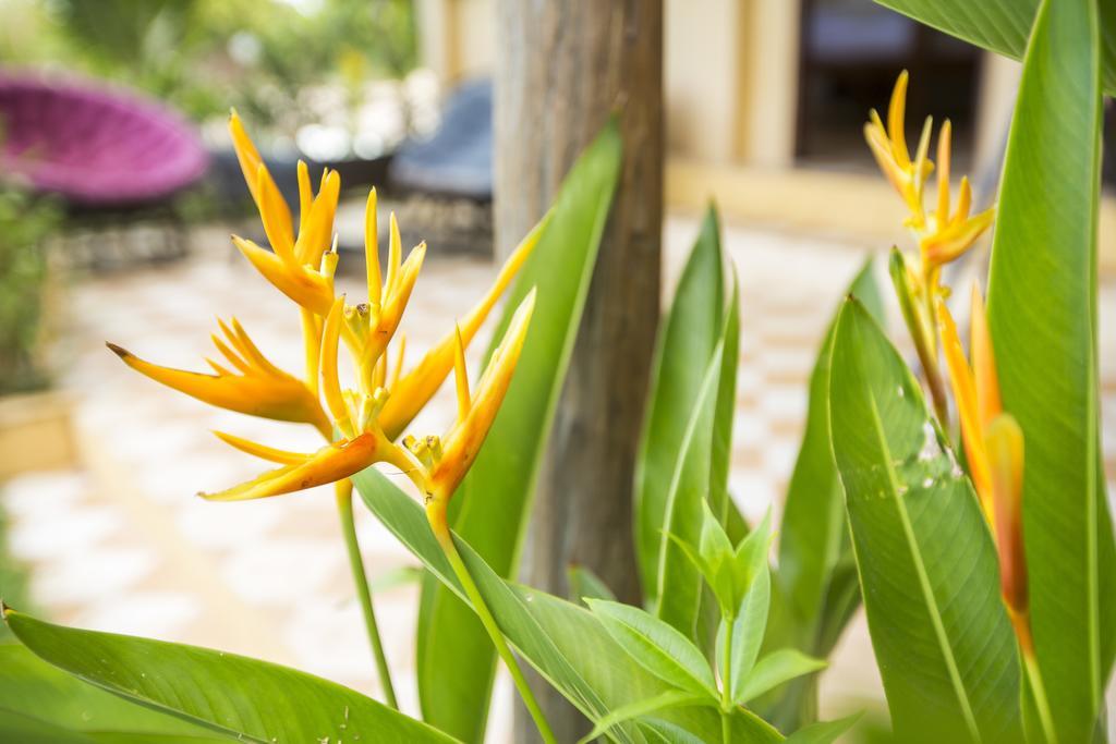 Champa Lodge Kampot Eksteriør billede